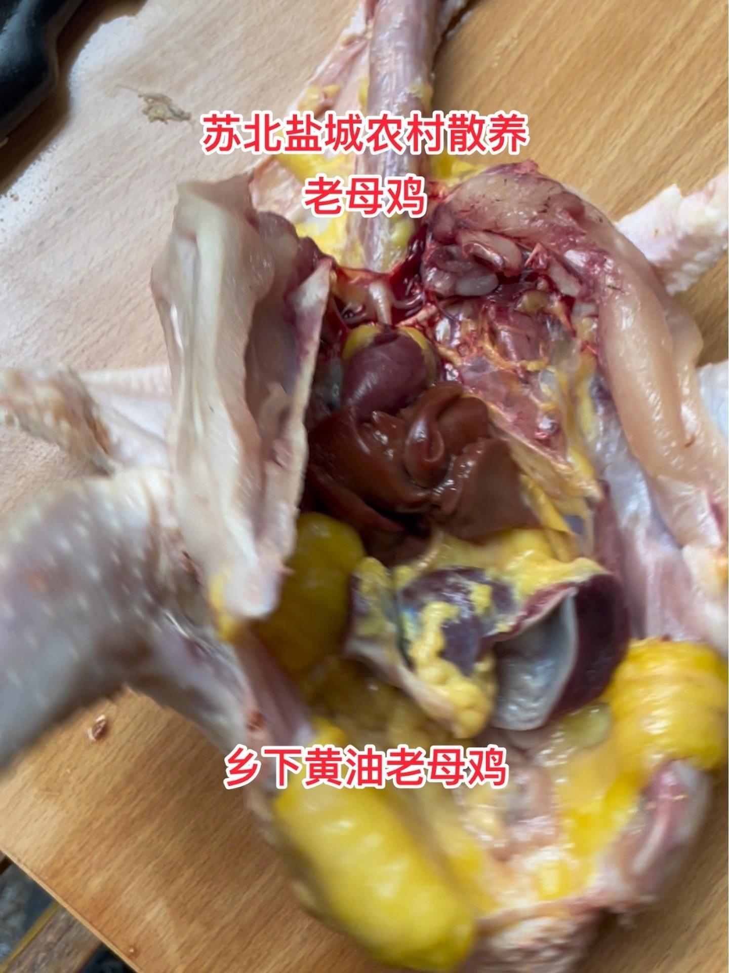 农村散养2年老母鸡农村散养散放 土鸡土鸭 农村散养土鸡 每天都是新鲜食材 散养 乡村味道