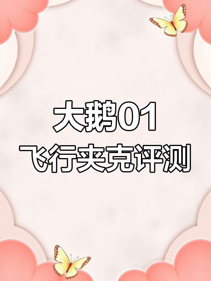 大鹅01飞行夹克开箱:狼毛领、飞行员标志与超强保暖设计