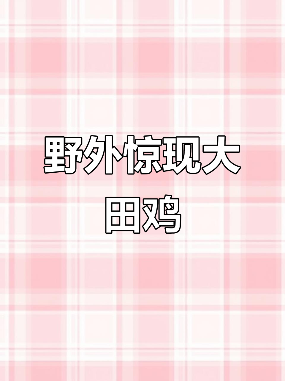 野外田鸡叫声震撼,远远望去竟是巨型生物!