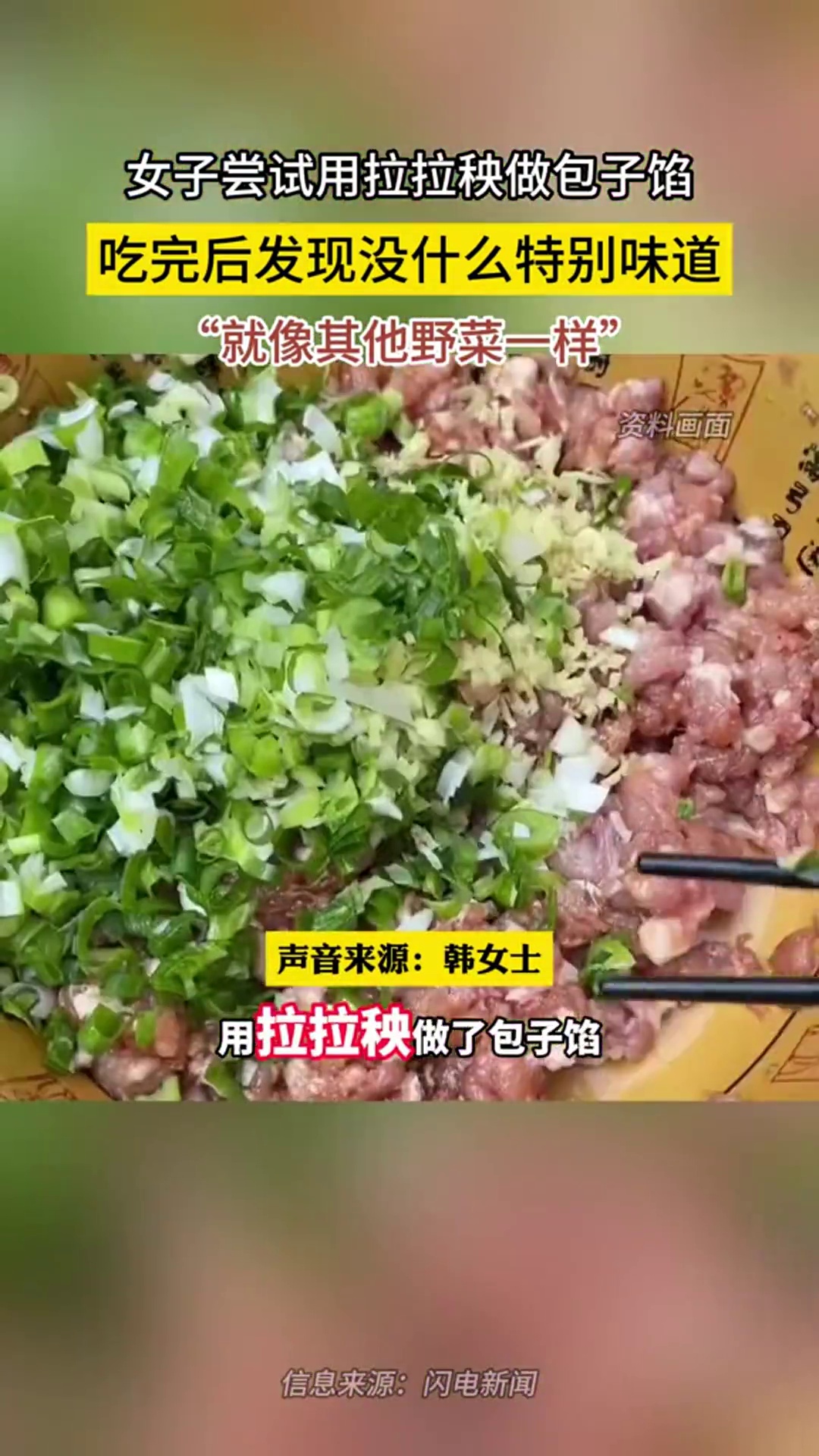 女子尝试用拉拉秧做包子馅,吃完后发现没什么特别味道 “就像其他野菜一样”