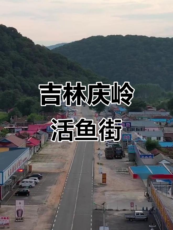 吉林蛟河庆岭活鱼街,航拍带你领略美食天堂