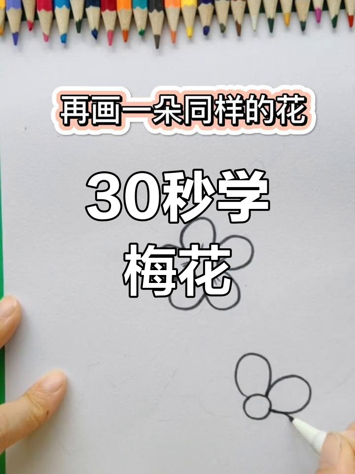 一分钟学会画梅花,简单又好看