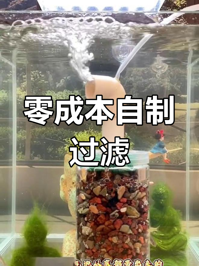 自制鱼缸水妖精气举增氧过滤器,轻松打造清澈水质