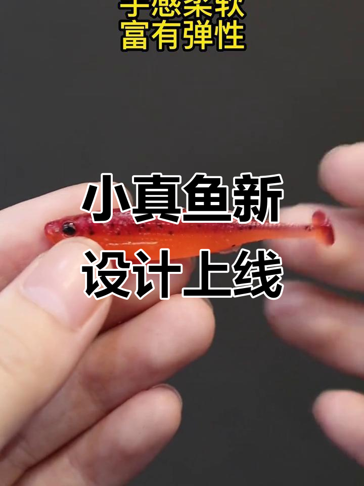 飞蚂蚁小真鱼全新设计,仿真度极高!多种颜色克重任你选