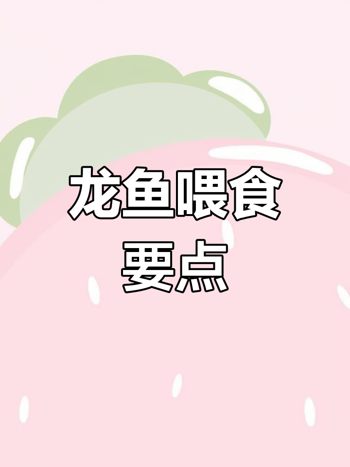 红龙鱼喂食技巧大揭秘