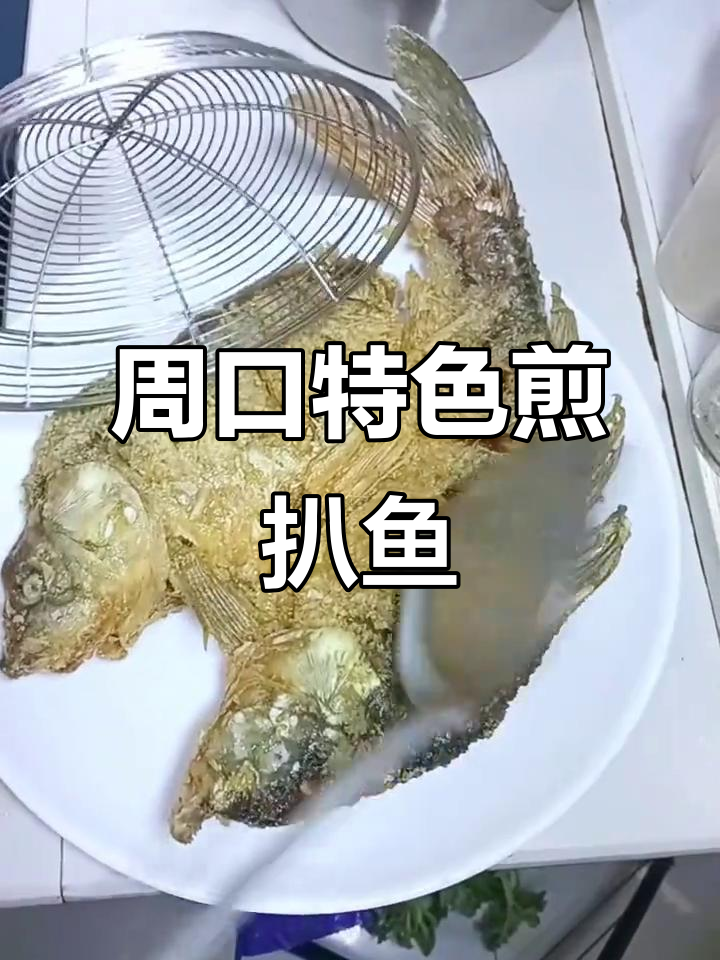 周口正宗煎扒鱼,外焦里嫩的完美做法