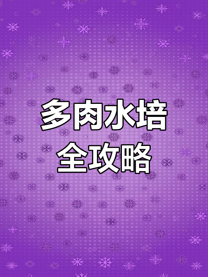 多肉植物水培技巧大揭秘,玻璃罐轻松搞定