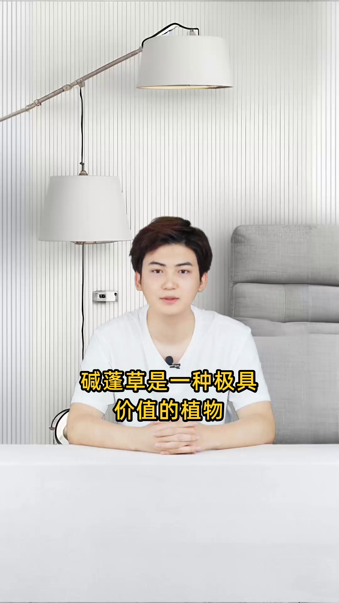 碱蓬草的功效多样,包括药用价值和生态作用,对人体健康及环境保护均有益处