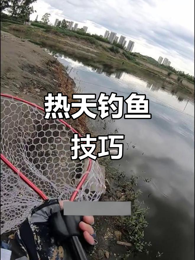炎热天气下,草鱼不咬钩?大范围搜索帮你找到它们!