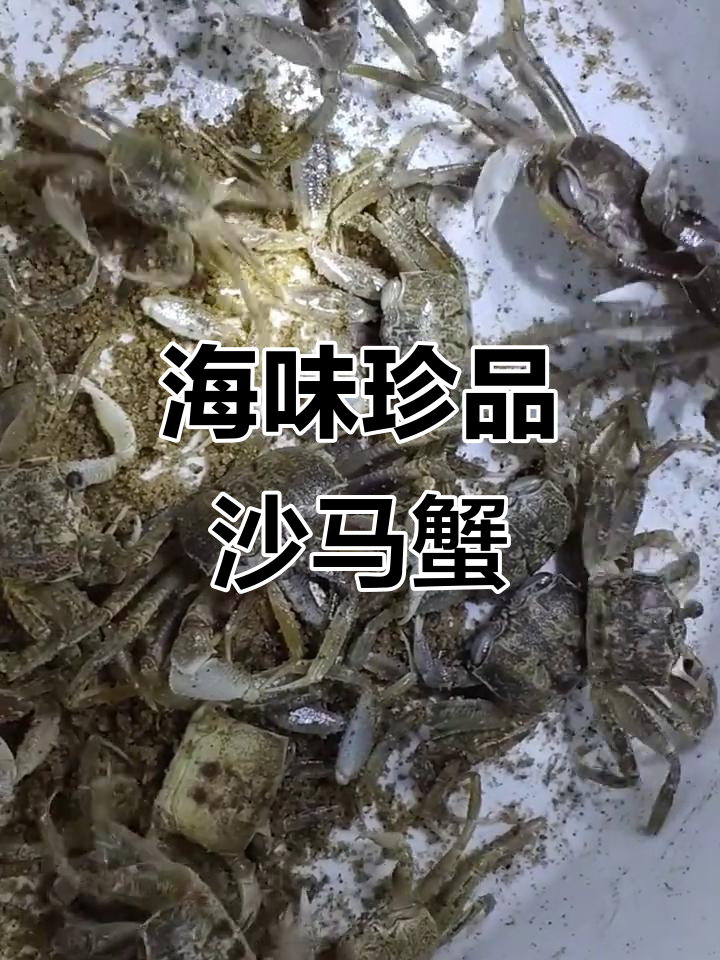 沙马蟹:海中营养之王,蒸煮蒜蓉最美味