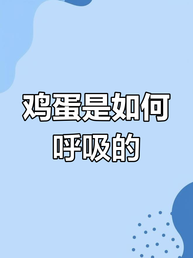 鸡蛋如何通过小孔呼吸?揭秘胚胎发育的神奇过程