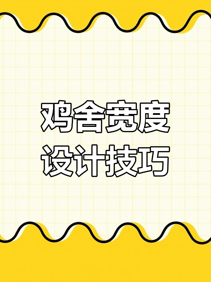 鸡舍宽度设计,笼子与过道合理搭配,确保空间利用最大化