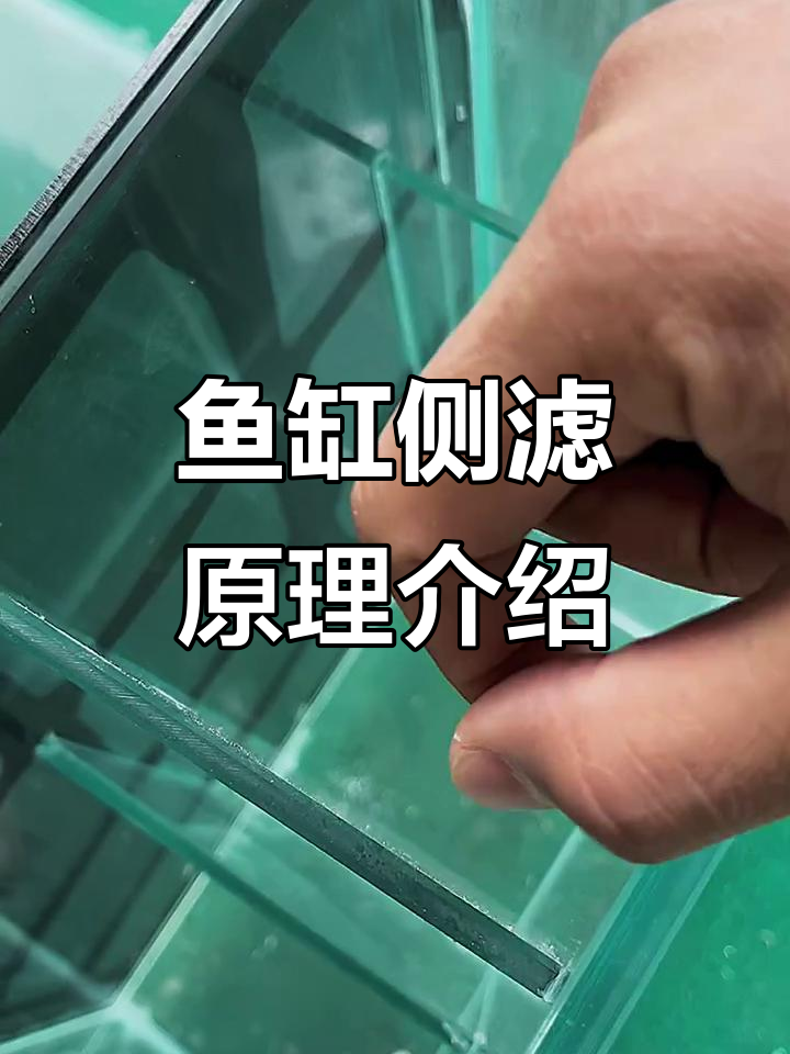 鱼缸侧滤与背滤结构解析，打造完美水族环境