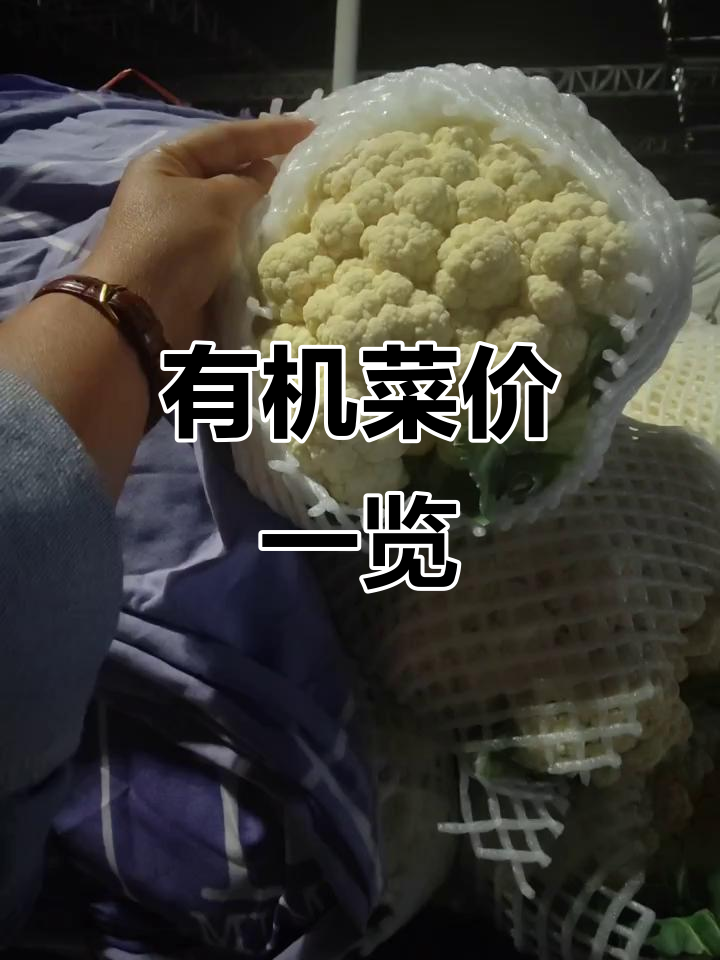有机蔬菜价格表:甘蓝、萝卜、辣椒各有所值
