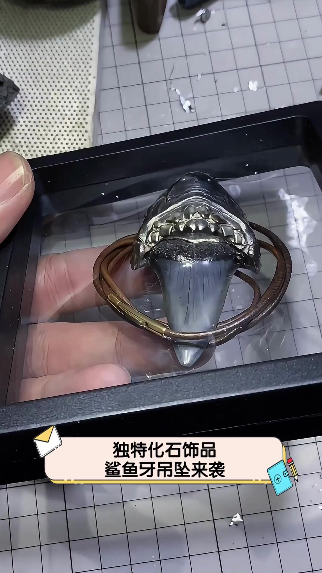 独特化石饰品,鲨鱼牙吊坠来袭