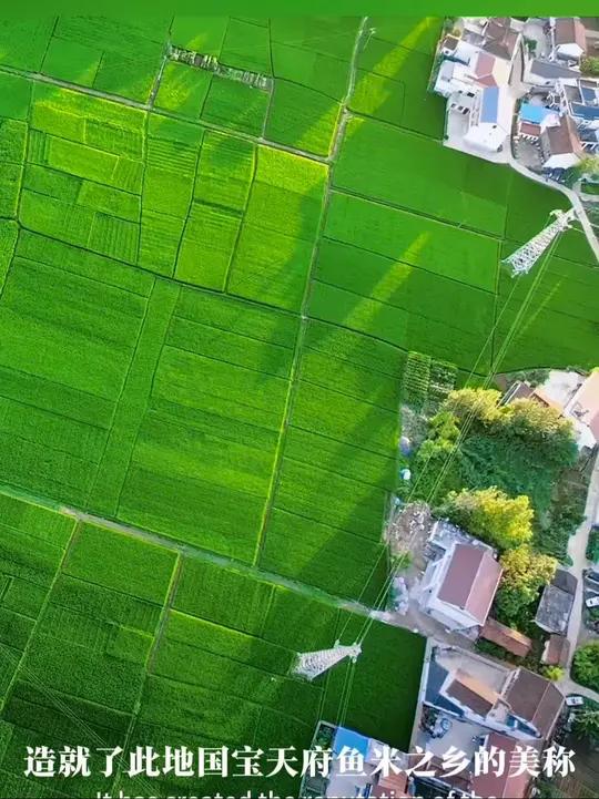汉中盆地,位于陕西省西南部,秦岭和大巴山之间,汉江上游。自古就有“国宝天府,鱼米之乡”之称