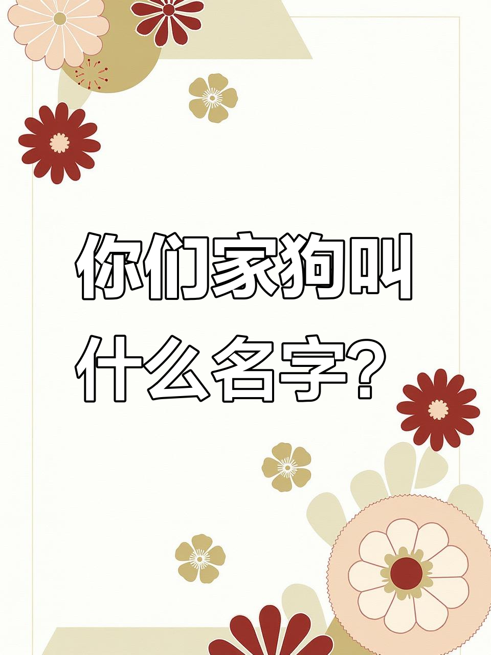 各代人给狗狗取名大比拼,从皮皮到火锅的转变