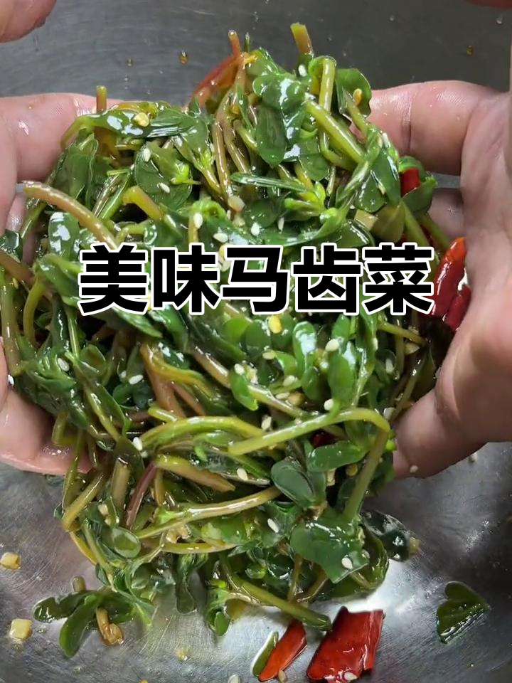 马齿菜:田间野菜的神奇功效,简单做法让你爱上它