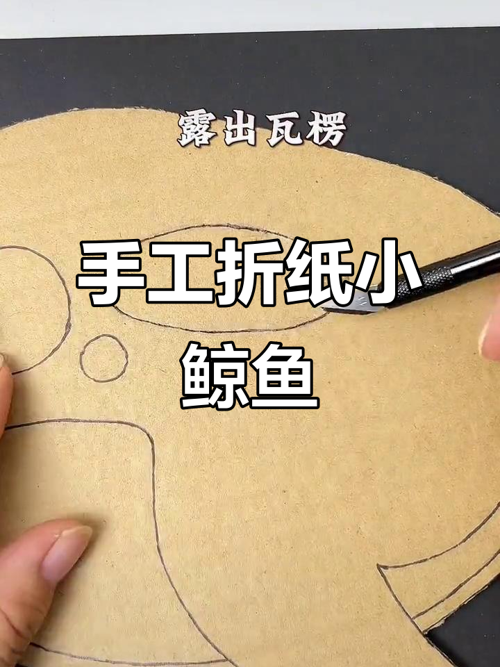 用废纸壳做可爱立体小鲸鱼,简单又有趣!