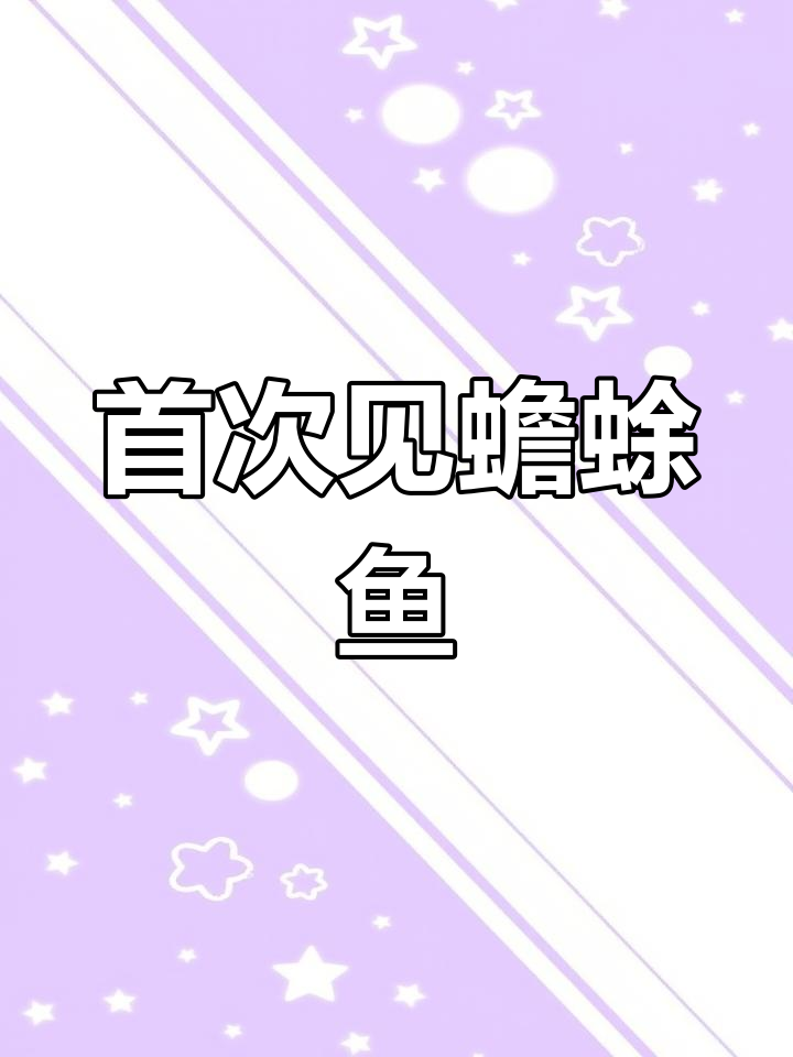 女儿说这是会跳的蟾蜍鱼,第一次见到活生生的!