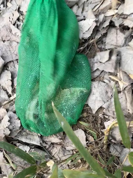 没打窝照样能钓到鱼