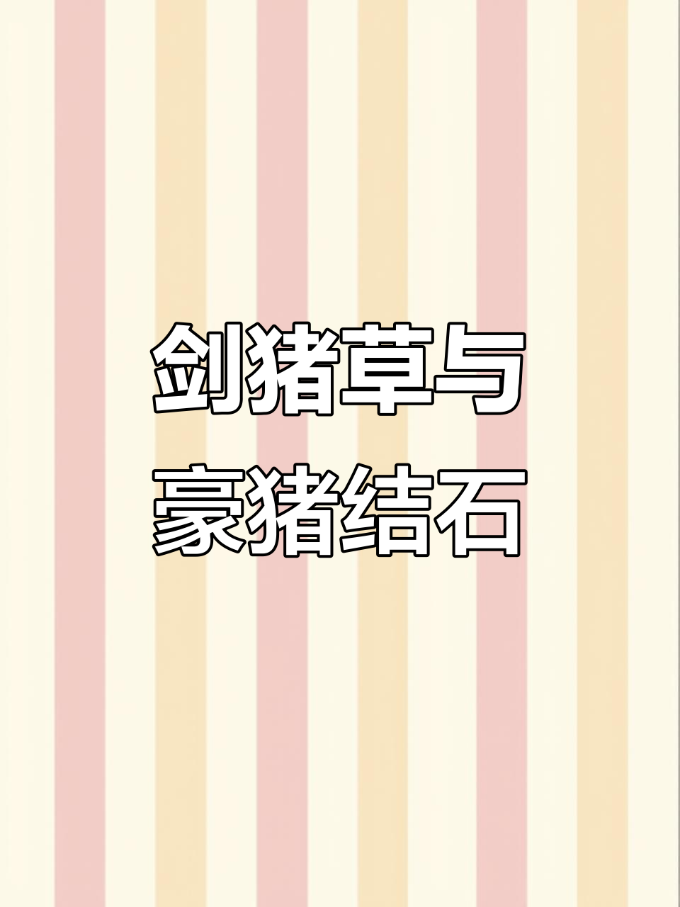 马来西亚剑猪草:一克比金子还贵,豪猪结石揭秘