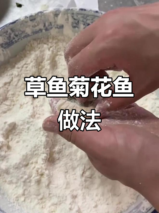 草鱼菊花鱼的完美制作,刀工与炸制技巧全揭秘