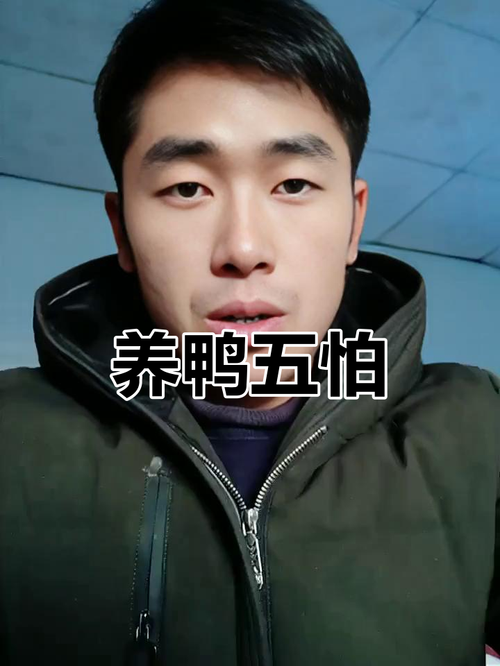 养鸭必知五大怕，掌握这些让鸭子更健康
