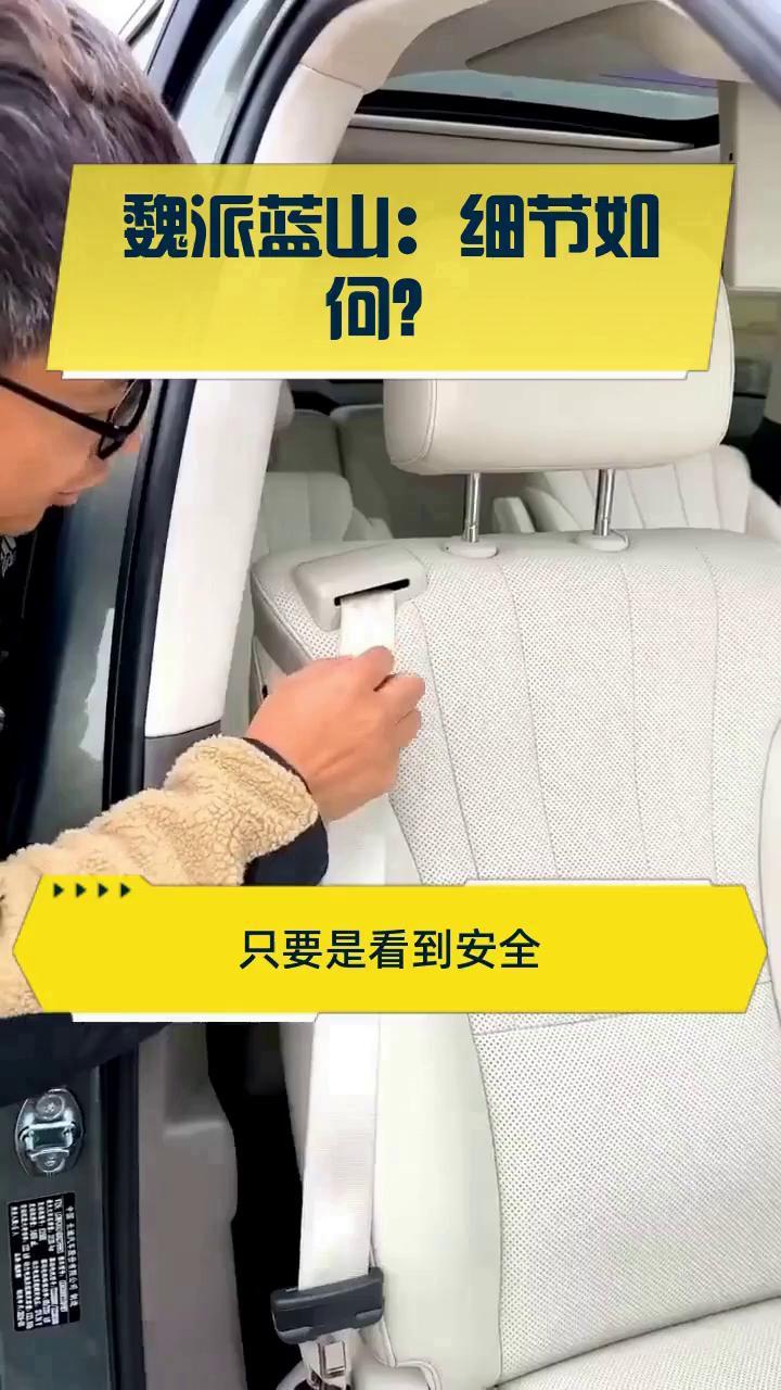 魏派蓝山:细节如何?