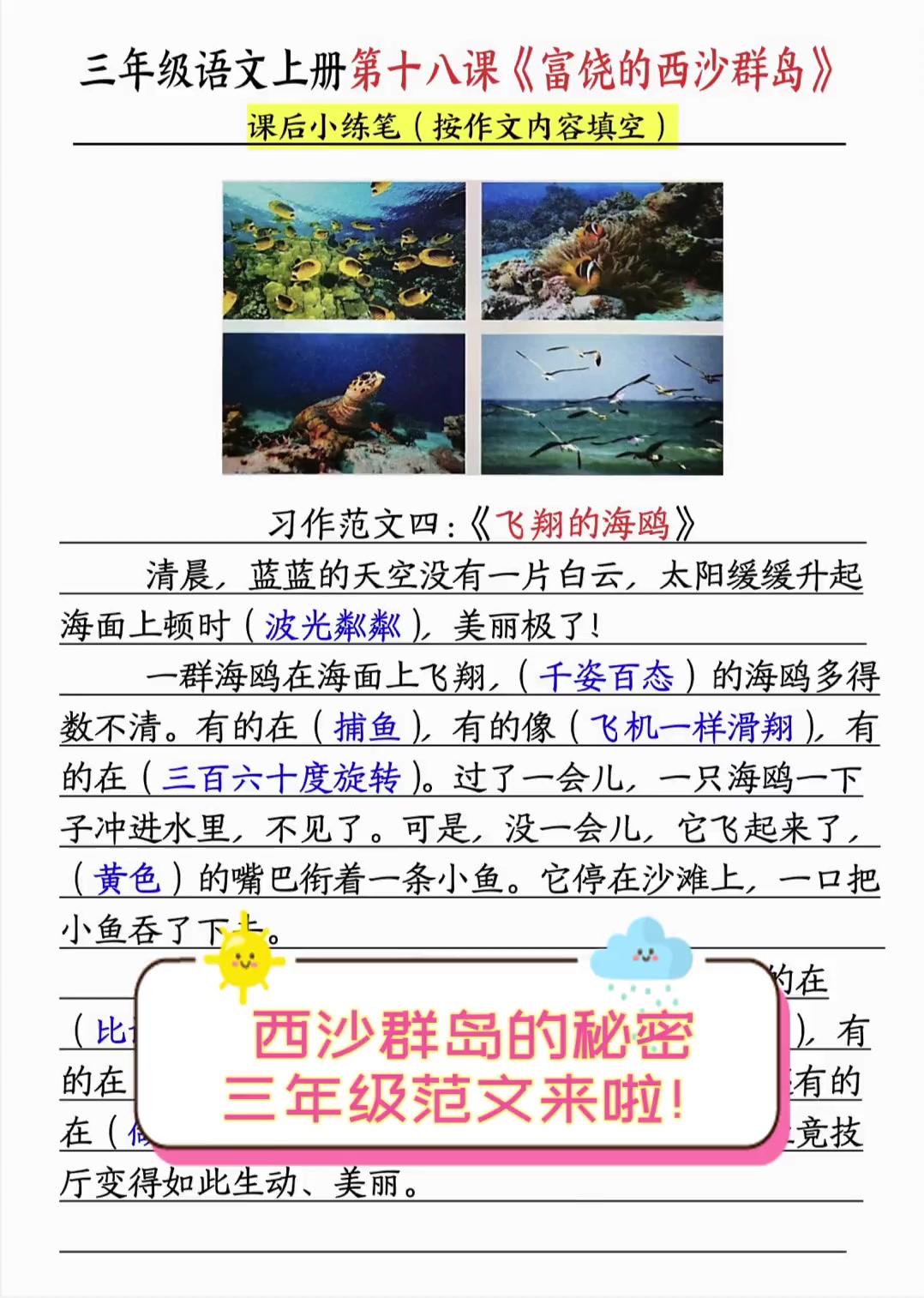 西沙群岛的秘密,三年级范文来啦!