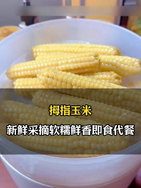 今日辅食|玉米蒸排骨|这样做的排骨鲜嫩多汁 一点也不柴 玉米也很好吃 宝宝辅食 做法简单又