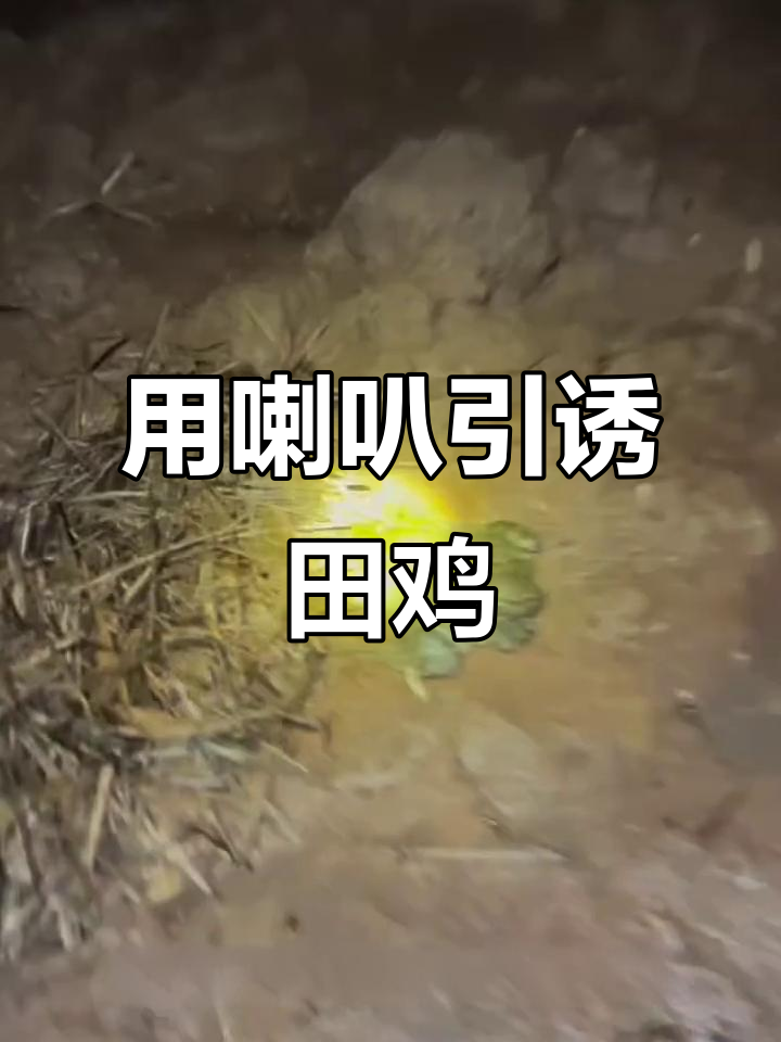 越南小哥用喇叭吸引田鸡,叫声太搞笑了