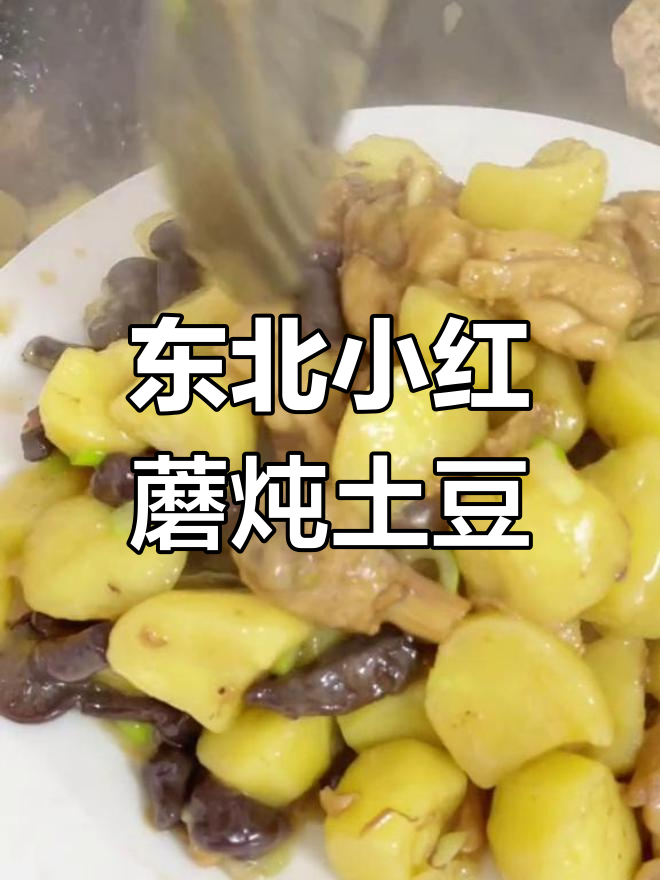 东北野生松树伞蘑菇,鲜美无比的小红蘑炖土豆