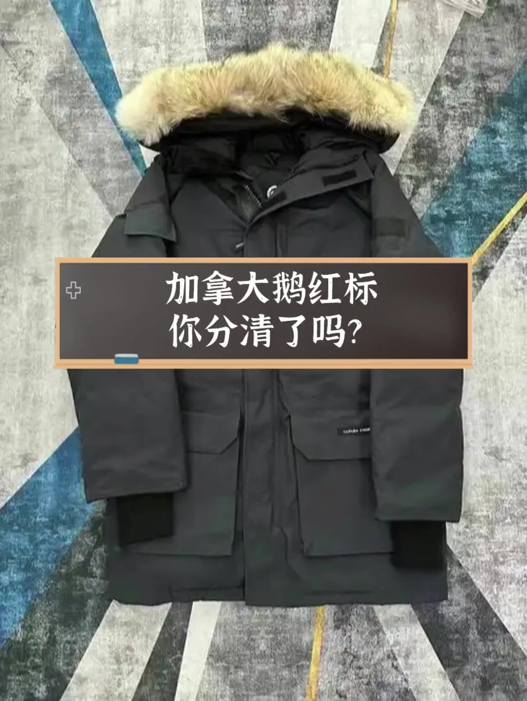 加拿大鹅红标,你分清了吗?