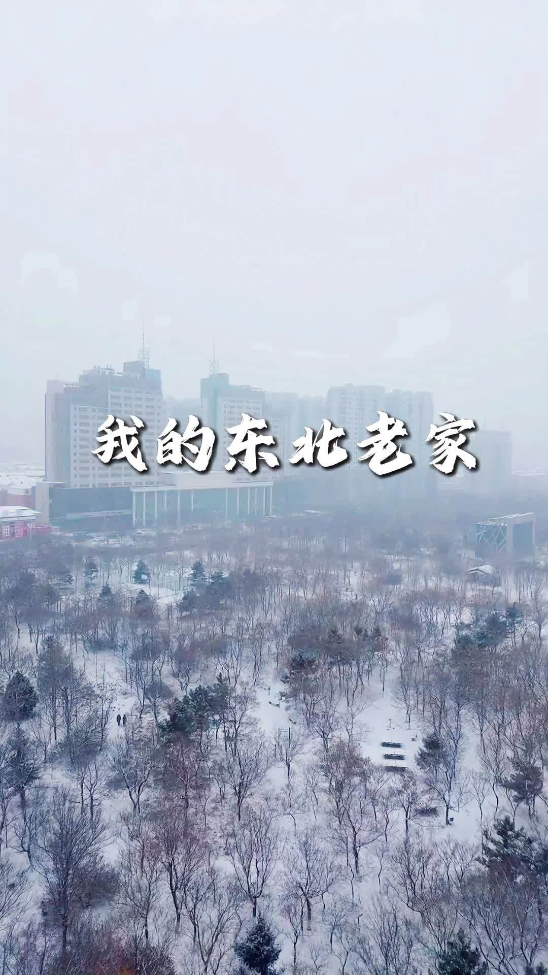 我的东北老家(鲅鱼圈版)#我的城市由我拍 #雪景 #城市风景 #我的东北老家