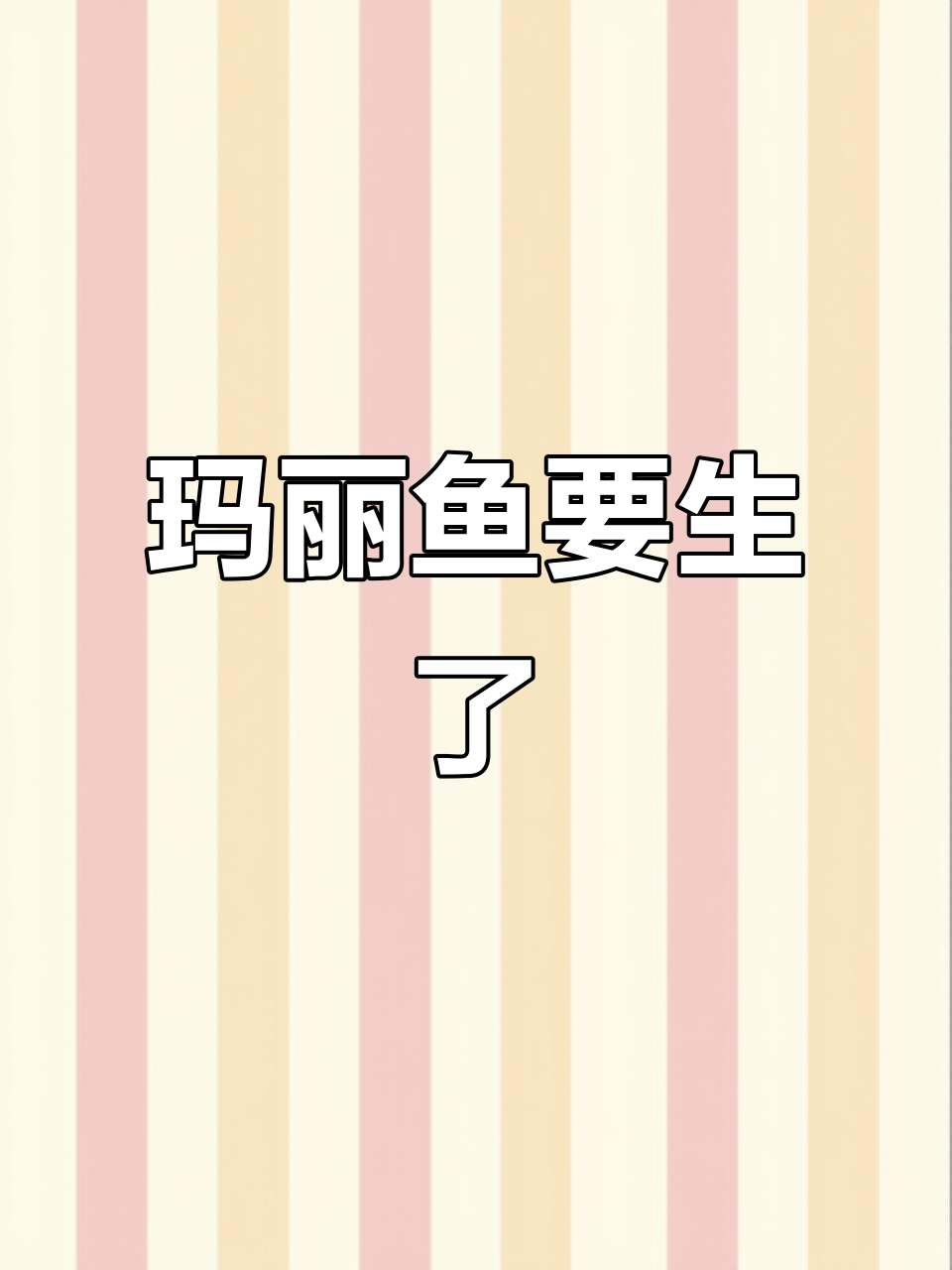 玛丽鱼肚子大得快撑爆，生小鱼的前兆太有趣了