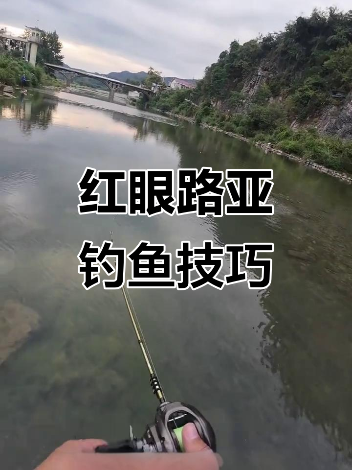 亮片逗红眼技巧大揭秘,秋季钓法全解析