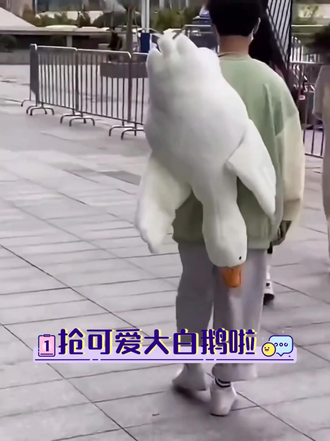 抢可爱大白鹅啦