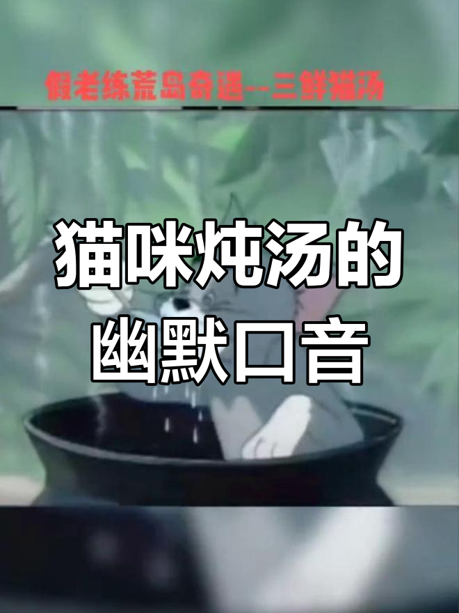四川方言版猫咪炖汤,假老练喝汤表情太搞笑