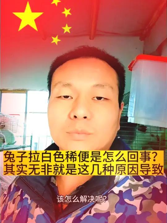 兔子拉白色稀便是怎么回事?其实无非就是以下这几种原因导致的 三农养殖 养兔技术 兔子拉稀 
