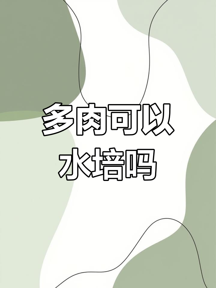 多肉植物能水培吗?泡水里竟然不会烂根,秘诀是什么