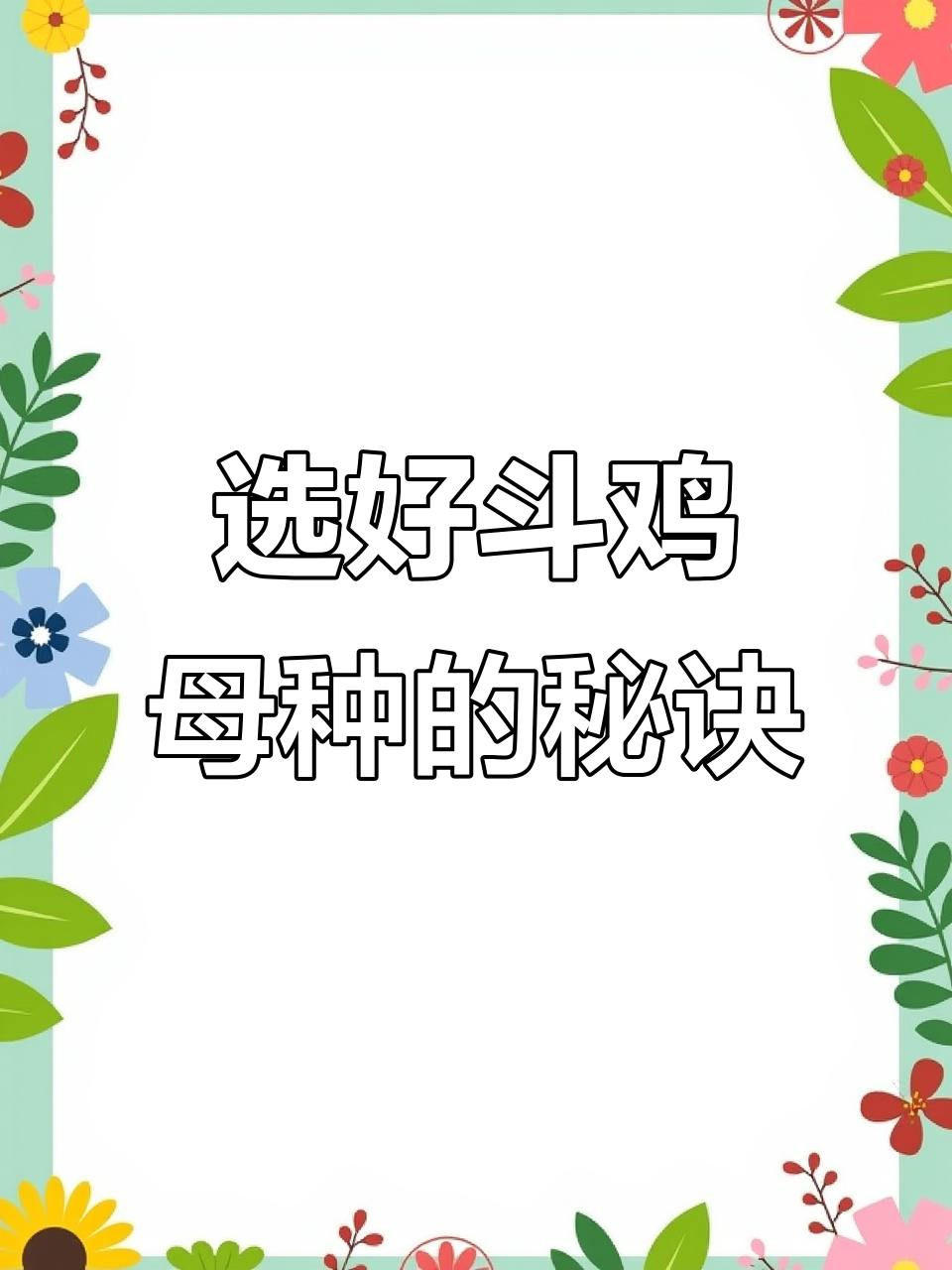 如何挑选优质斗鸡母种?关键体型特征全解析