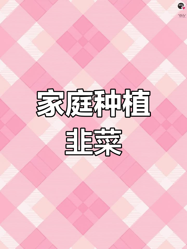 在家种韭菜,3天发芽,15天后就能享用新鲜嫩芽!
