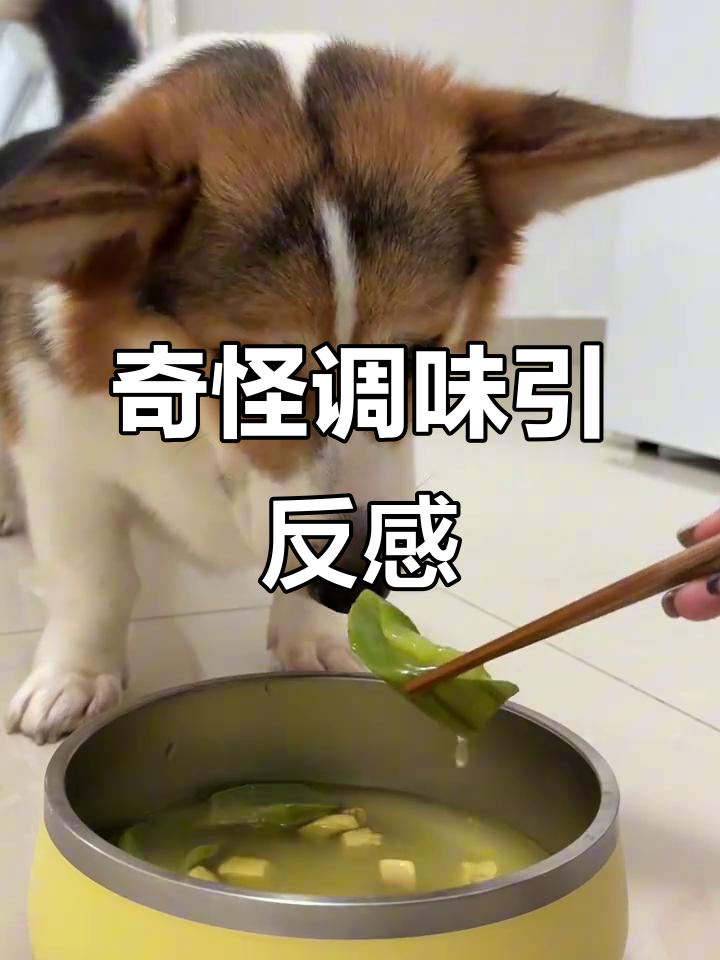 丝瓜鸡肉汤加了姜黄和黑胡椒,结果O酱却避之不及