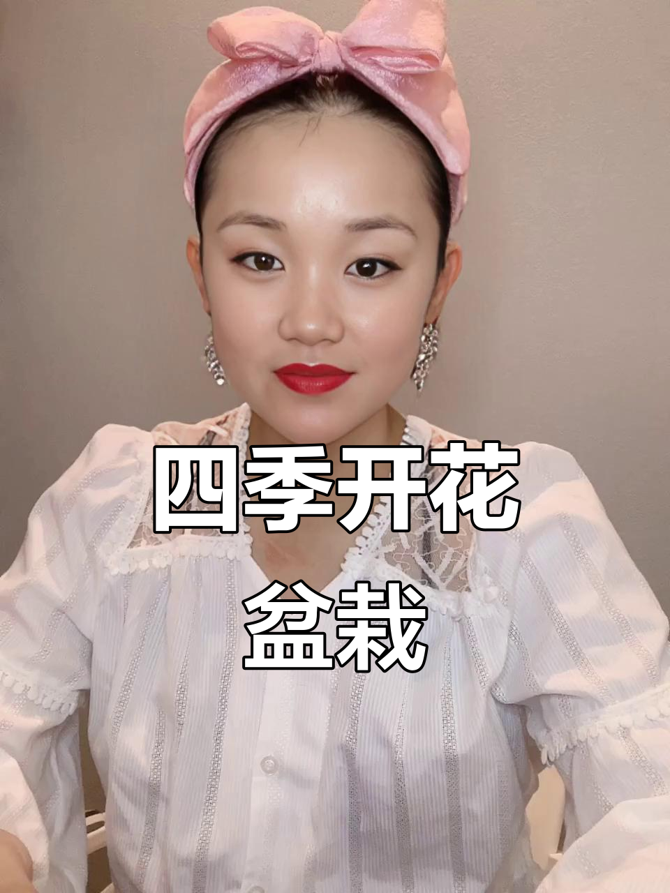 紫金露花，四季绽放，巧克力造型盆栽，耐热又美丽