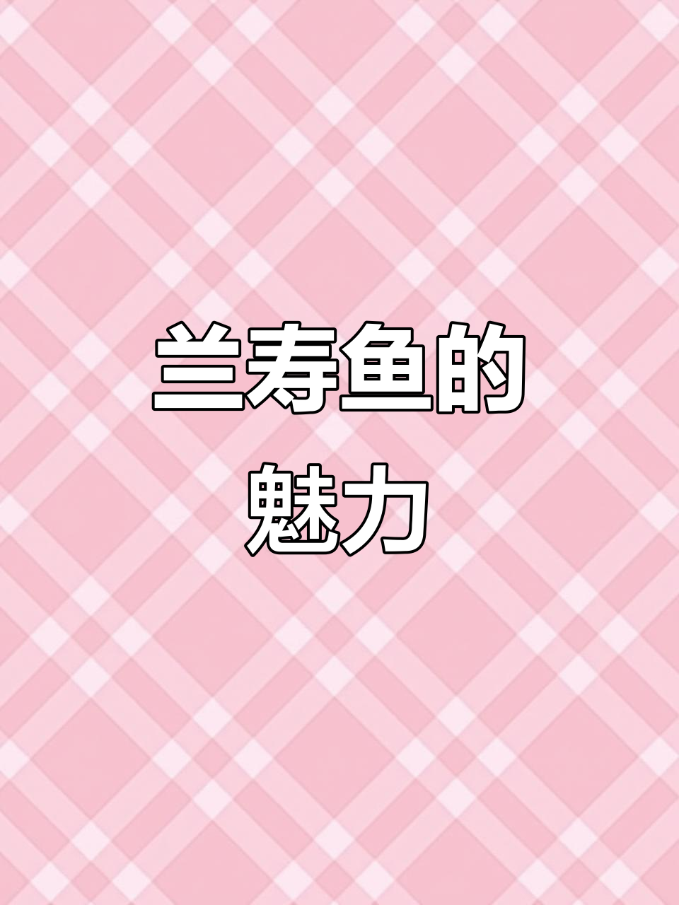 兰寿鱼萌态十足,互动性强,养它让你爱不释手!