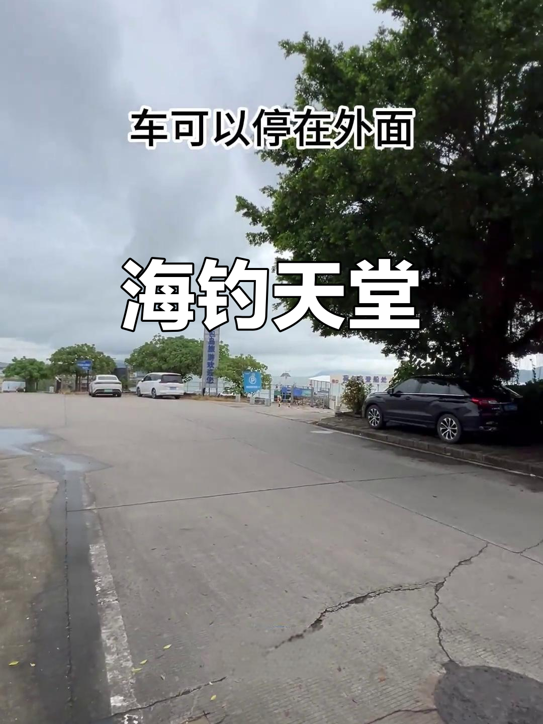 荷包岛钓鱼,轻松到达,海鱼丰富,国庆好去处!