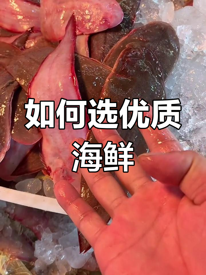 挑选海鲜技巧大揭秘,龙鲤鱼品种全解析