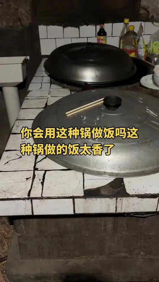 你会用这种锅做饭吗这种锅做的饭太香了