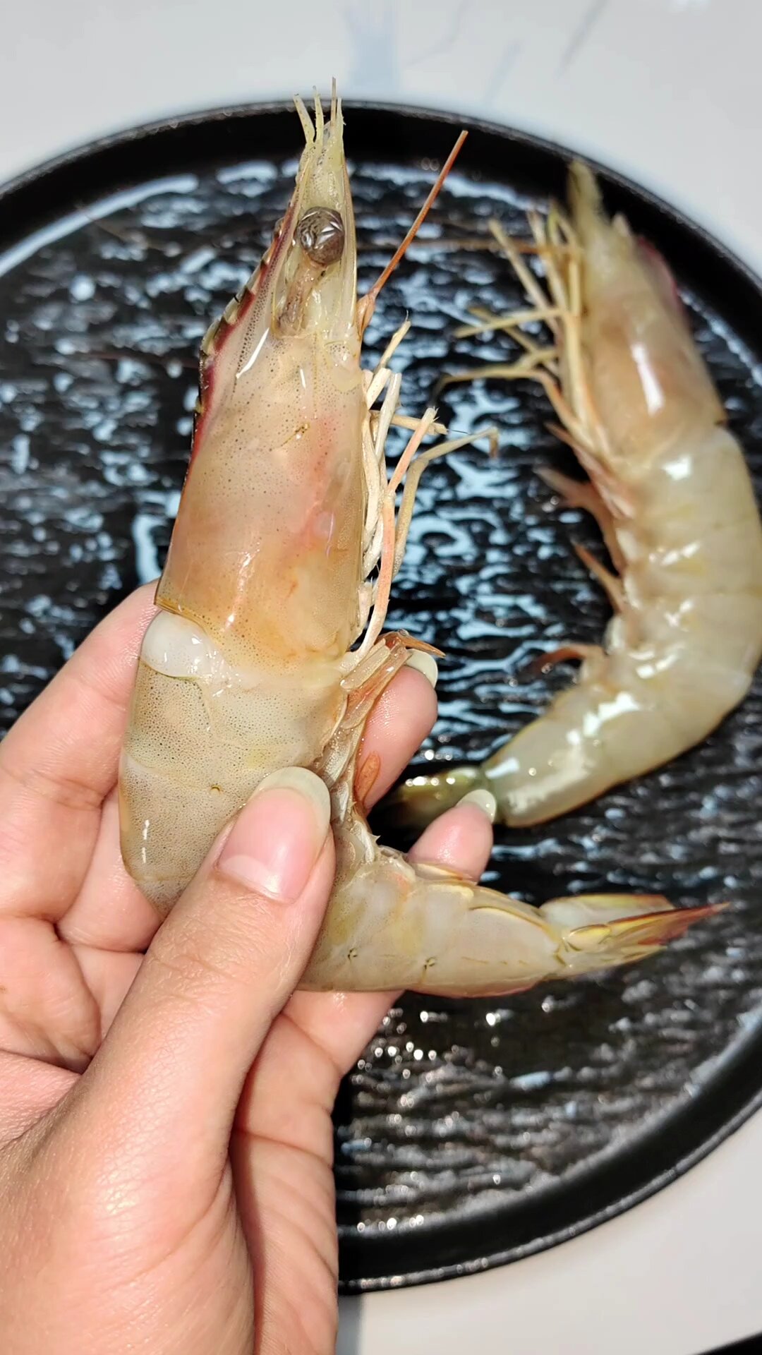 中国对虾,渤海湾野生海捕大虾